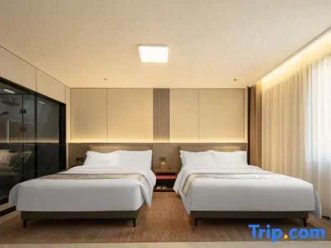 Executive Twin room