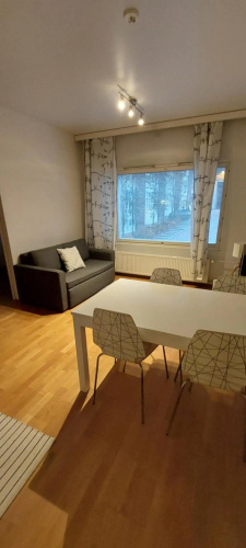 Apartment with sauna near the center