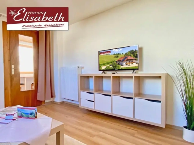 Apartment with mountain view