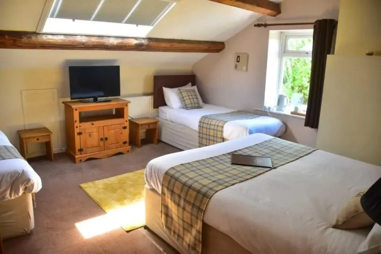 Standard Family room