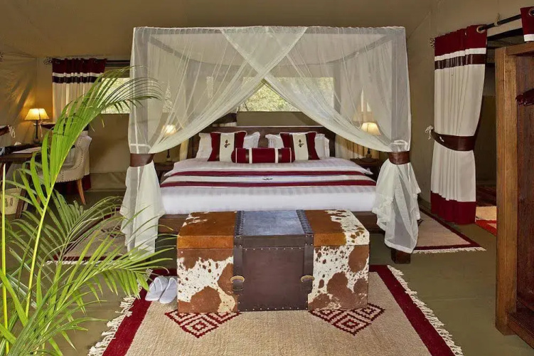 Mara Bush Camp