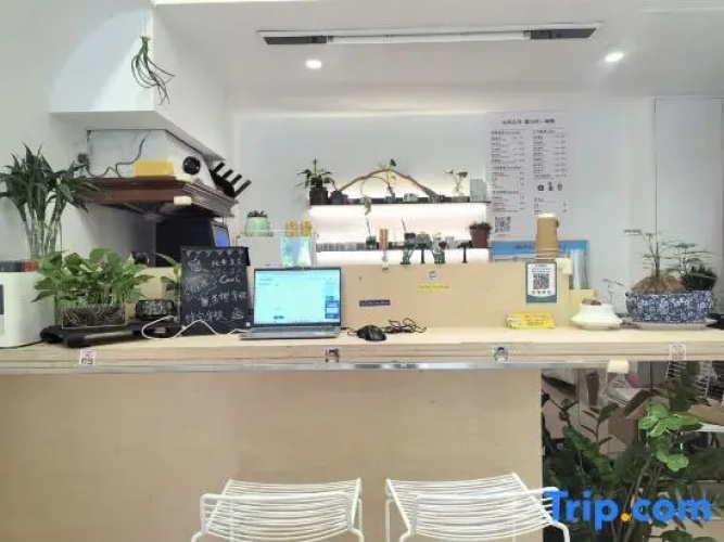 Light year away homestay