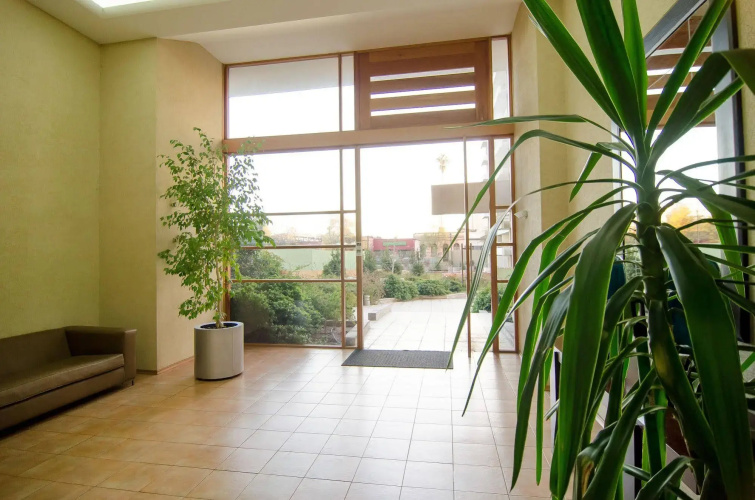 SCL Suites