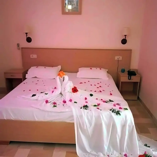 Standard Double room with balcony and with view