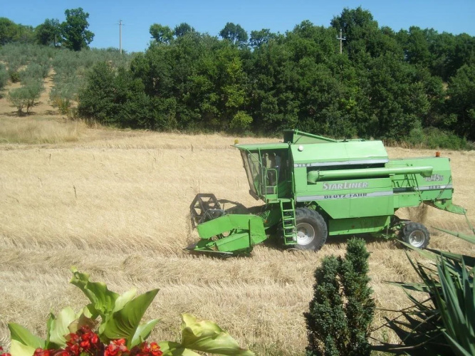 Fattoria Del Quondam