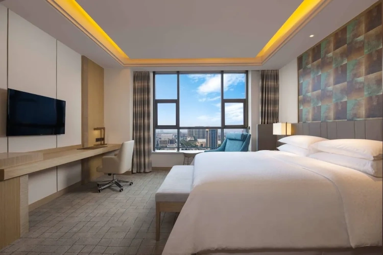 1 Bedroom Suite with city view