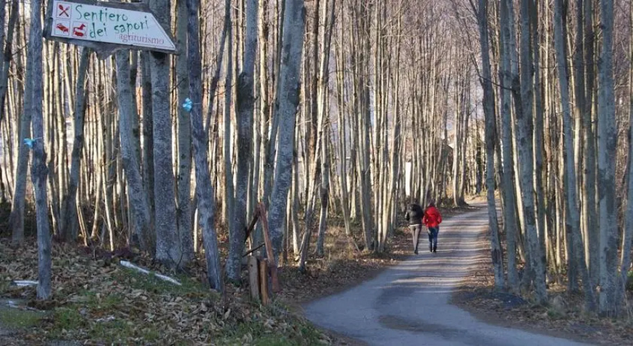 Agriturismo Sentiero Dei Sapori