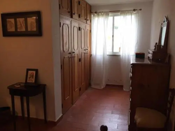 Orange Tree Villa
