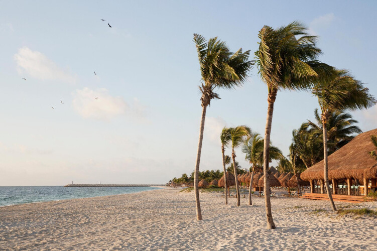 Finest Playa Mujeres By The Excellence Collection   All Inclusive