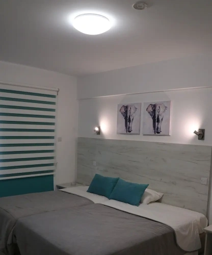 1 Bedroom Standard Apartment