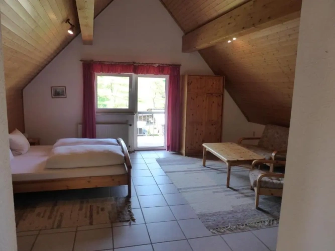 Studio with balcony and with view