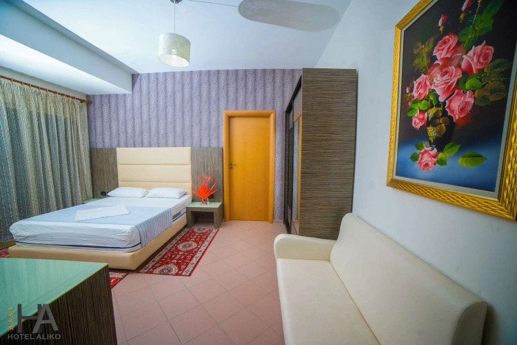 Hotel AlikoOver view