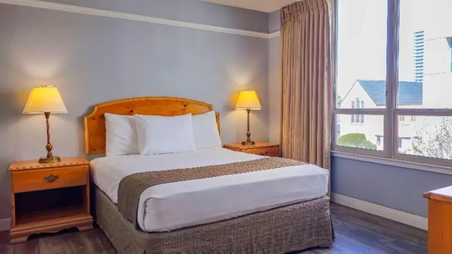 1 Bedroom Suite