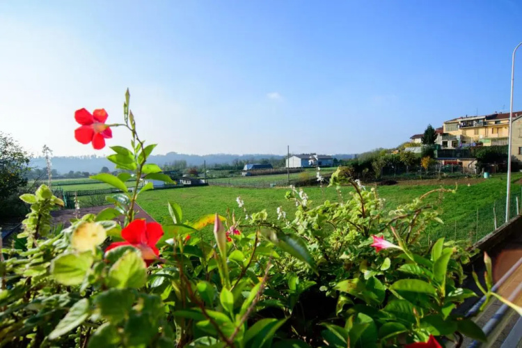 Le Vigne Sull'Adda