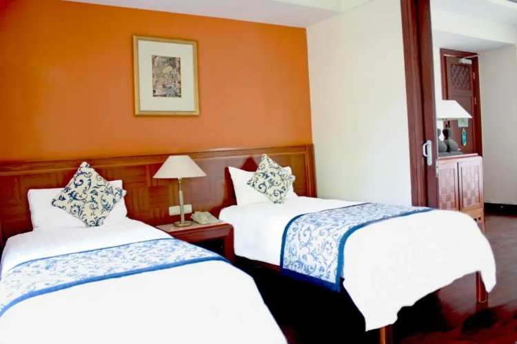 Deluxe Twin Suite