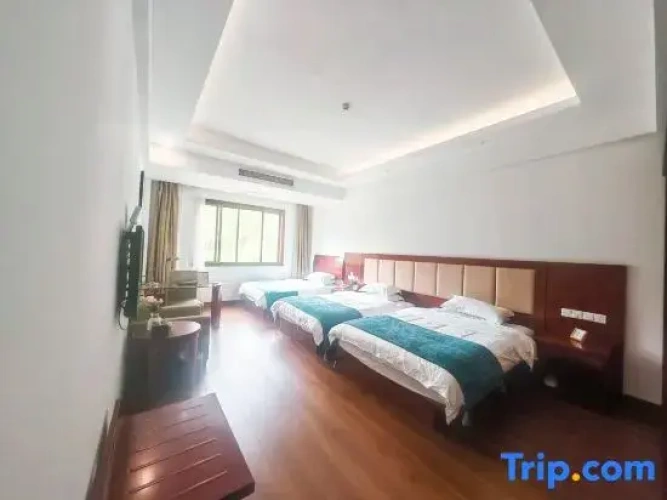 Deluxe Triple room