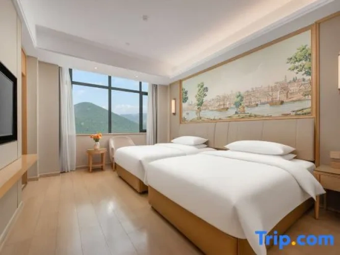 1 Bedroom Superior Suite