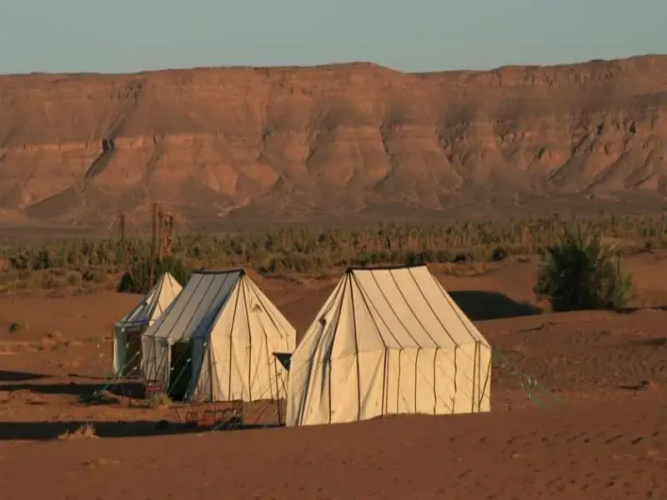 Sahara Safari Camp