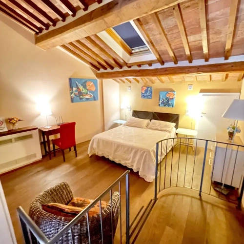 Comfort Suite