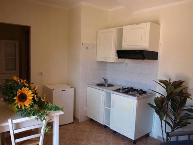 1 Bedroom Standard Apartment
