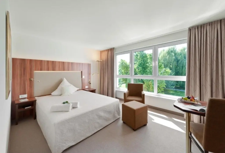 Superior Single room