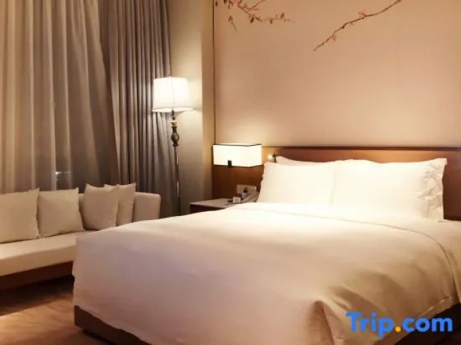 Executive Double Suite