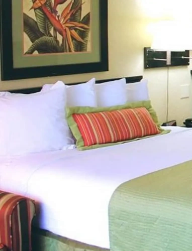 Deluxe Double Basement room