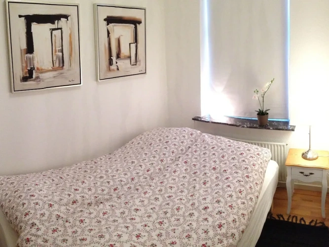 1 Bedroom Apartment