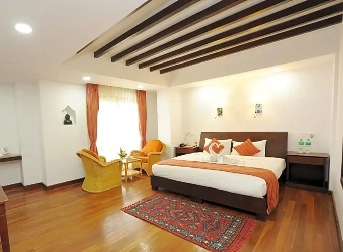Deluxe Double room with balcony and with view