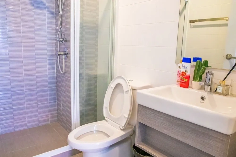 1 Bedroom Comfort Apartment