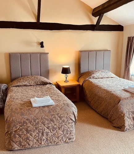 Standard Single room