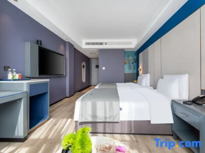 Standard Double room with city view