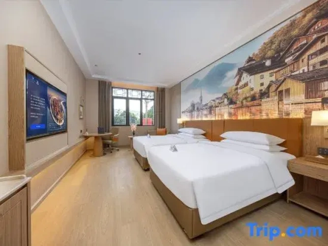 Standard Twin room with city view