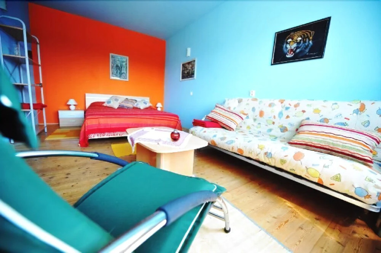Apartment Asja