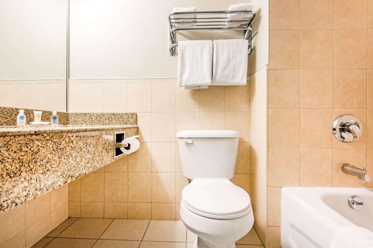 Comfort Inn Fallsview photo 10