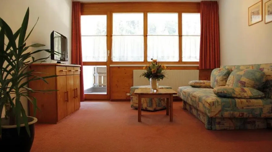 1 Bedroom Comfort Apartment