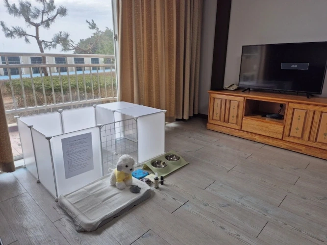 Standard Double Family room with mountain view