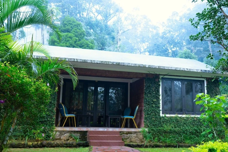2 Bedrooms Standard Family room with garden view
