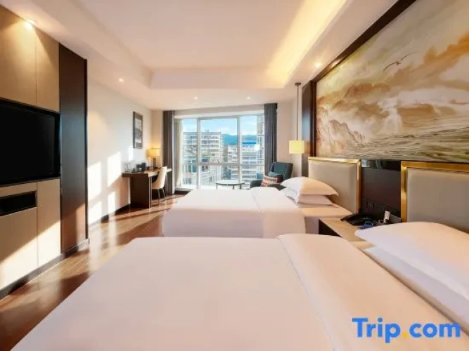 Comfort Twin room with city view
