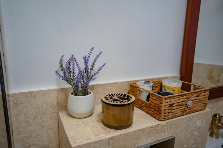 Apartamentul Cetății Alba Iulia