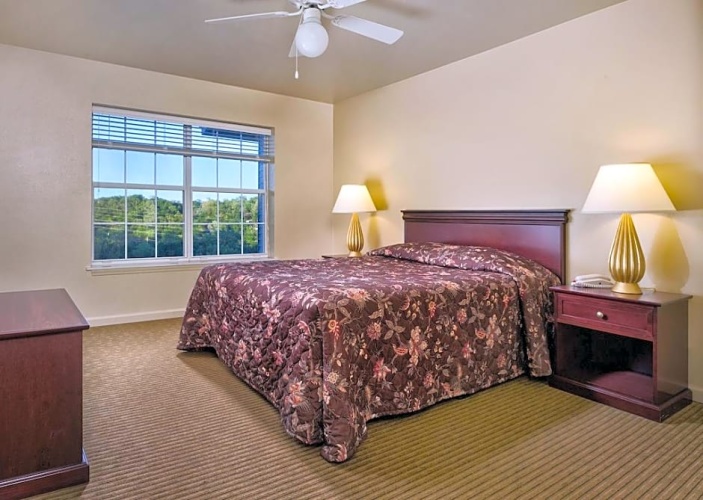 1 Bedroom Double Suite