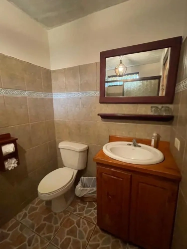 Standard Twin room with garden view