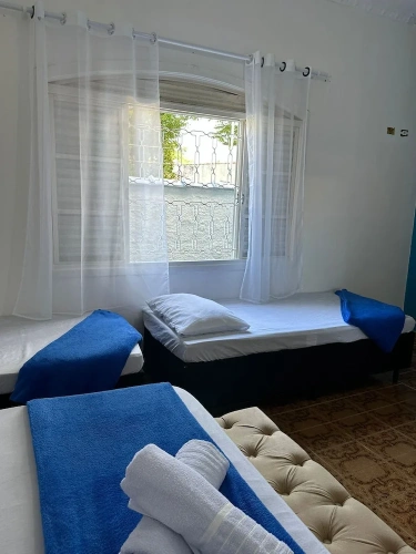 Standard Suite