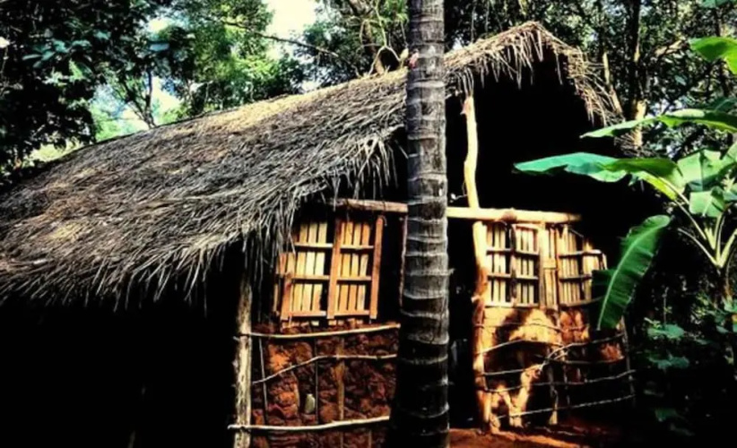 Yoho Mango Tree Home Stay & Hostel