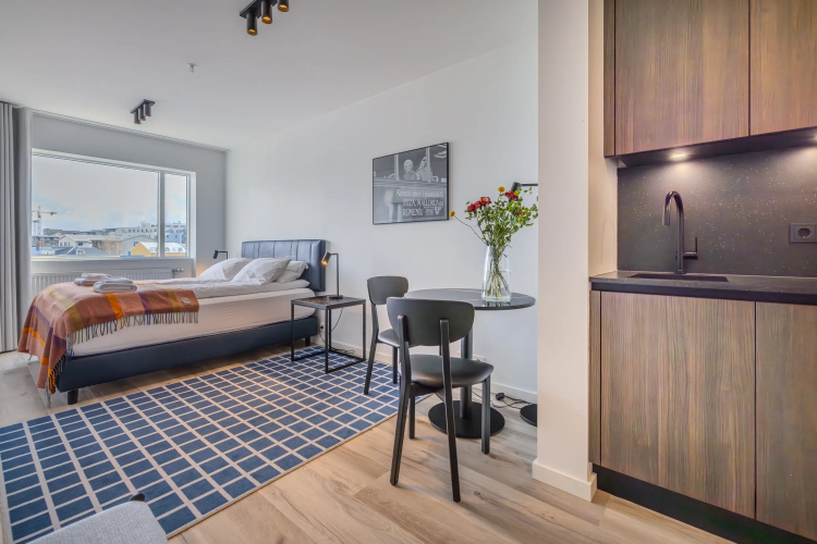 Hlemmur Suites