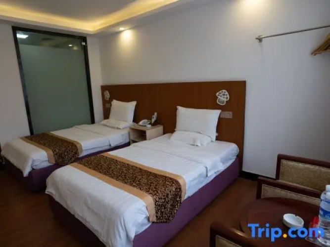 Premier Twin room