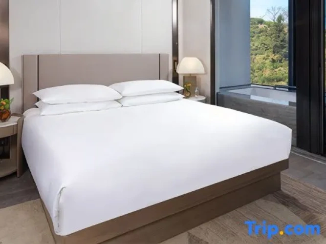Executive Double Suite