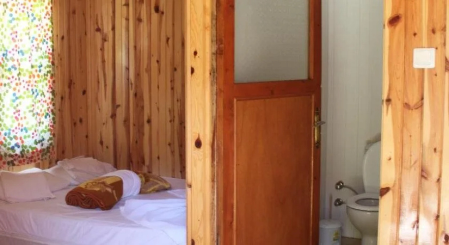Jungle Bells Hostel