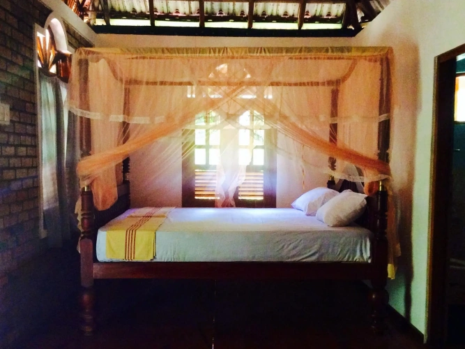 Standard Double room with balcony and with view