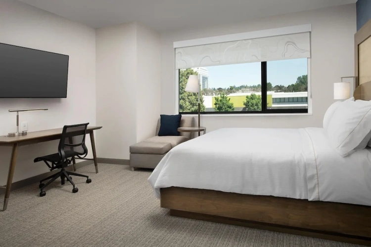 1 Bedroom Suite